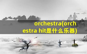 orchestra(orchestra hit是什么乐器)